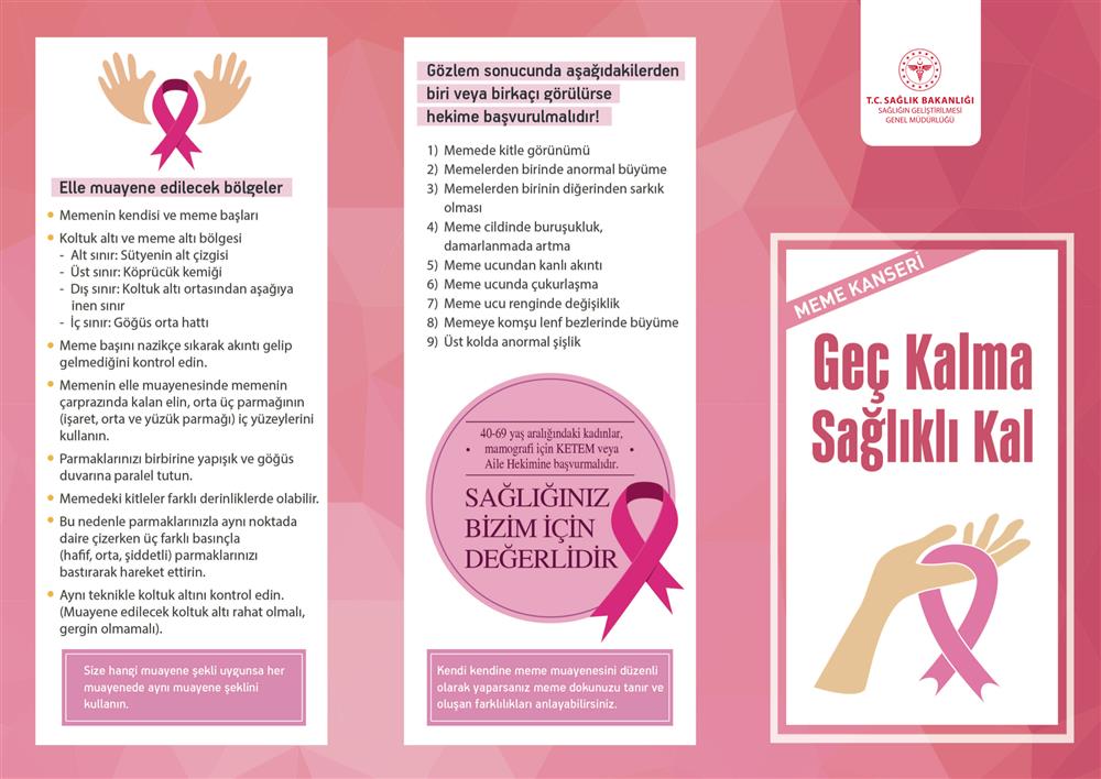 kalpte cinsel sağlık broşürleri sipariş edin)